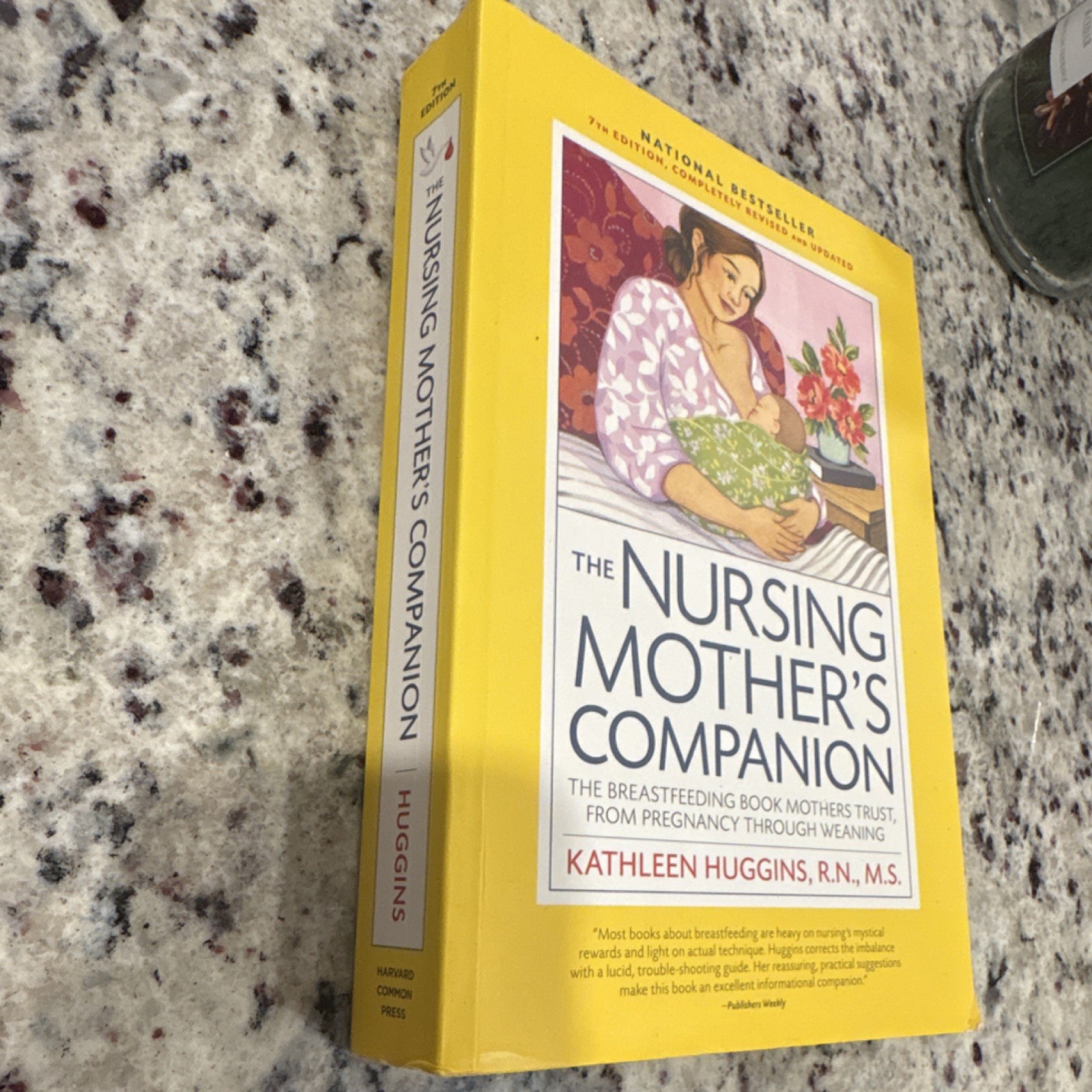 Harvard Common Press Nursing Mother’s Companion Kathleen Huggins PB 7th Ed Brea…