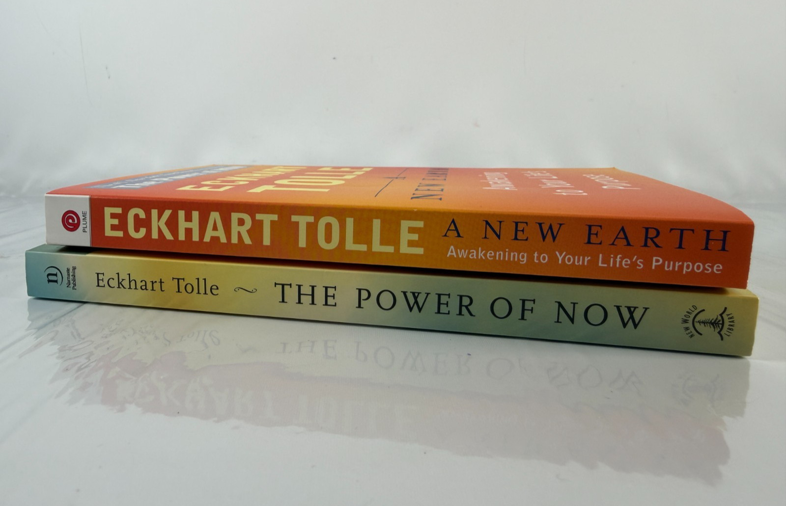 New Earth and The Power of Now by Eckhart Tolle – Lot of 2 Trade Paperbacks