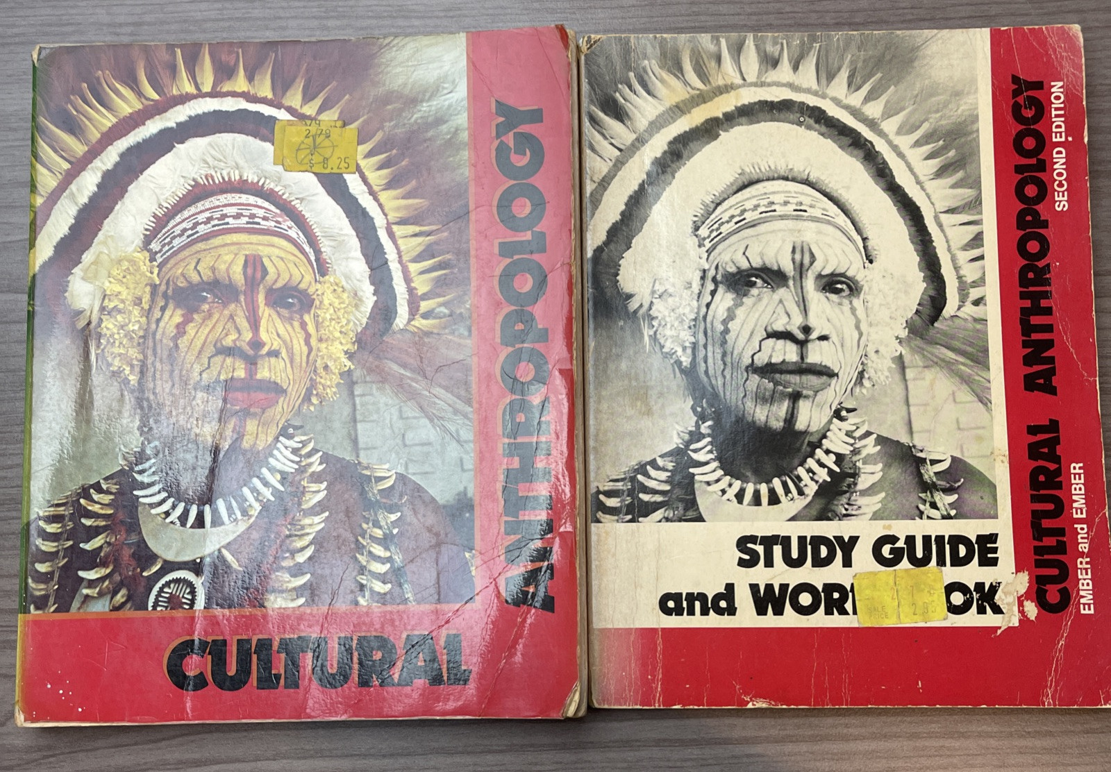 Cultural Anthropology Second Edition Ember Plus Study Guide/Workbook 1977