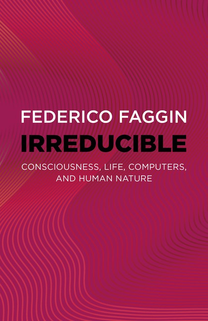 Irreducible: Consciousness, Life, Computers, And Human Nature