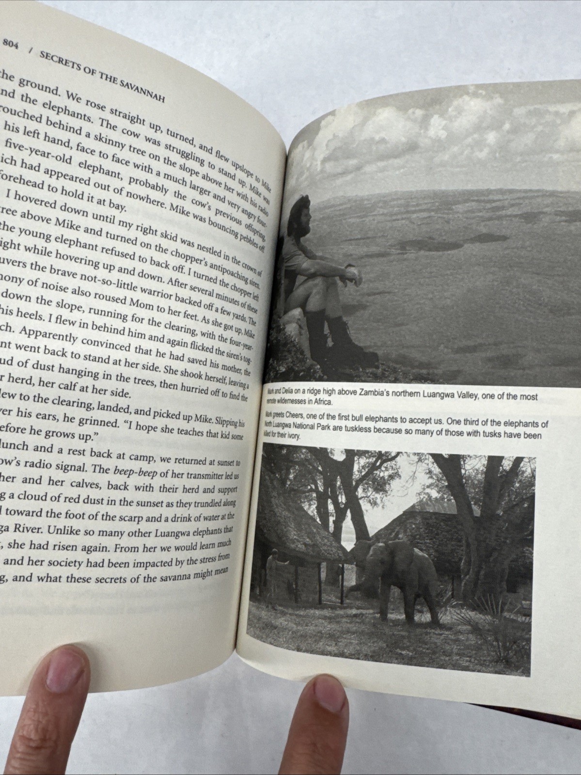 Delia Owens In Africa A Life In The Wild: By Mark Owens & Delia Owens 2019 B&N