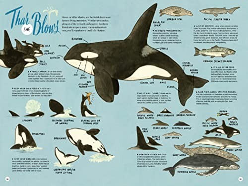 On Island Time: A Traveler’s Atlas: Illustrated Adventures on and around the Isl