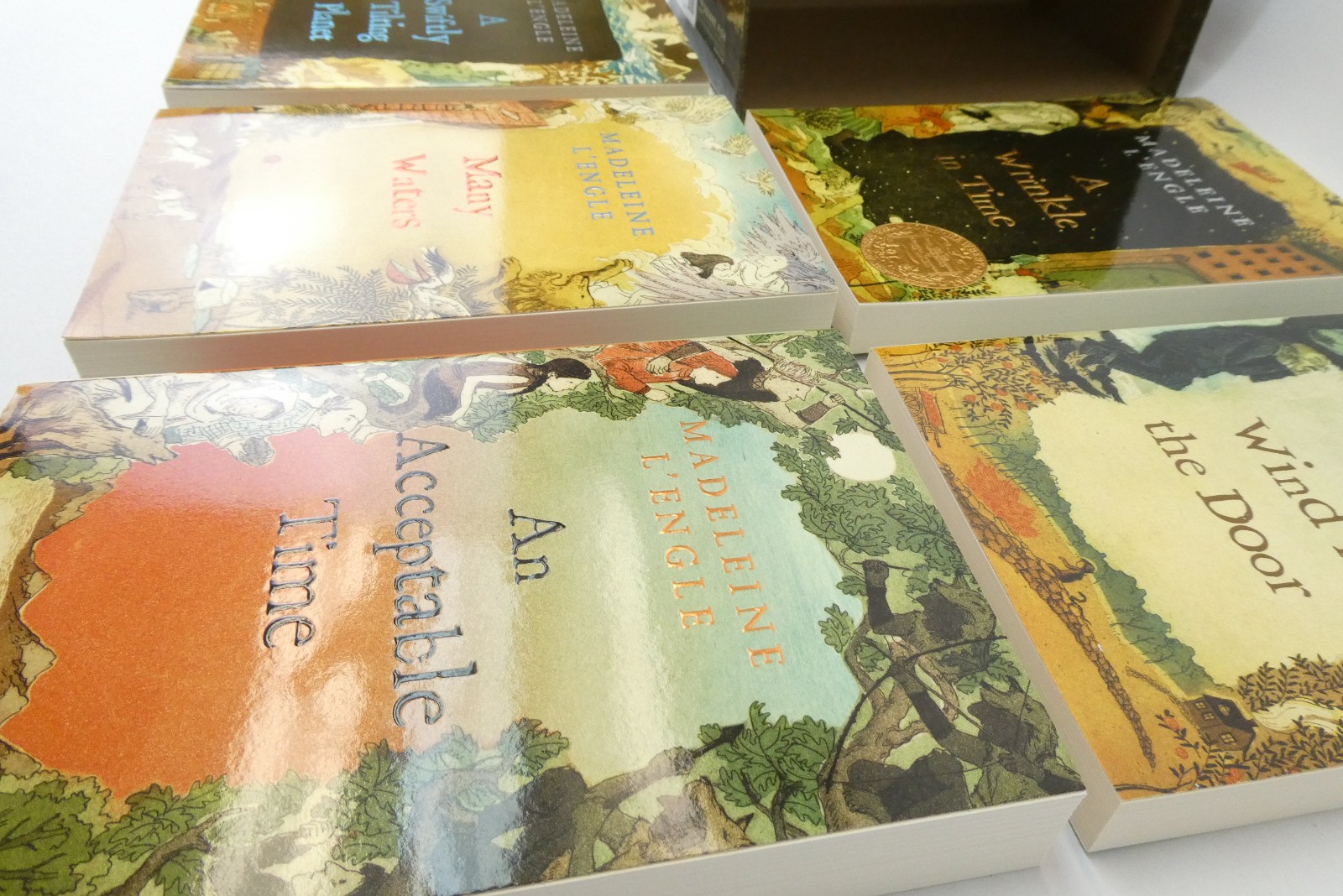 Madeleine L’Engle Time Quintet Box Set 5 Books Wrinkle in Time Square Fish
