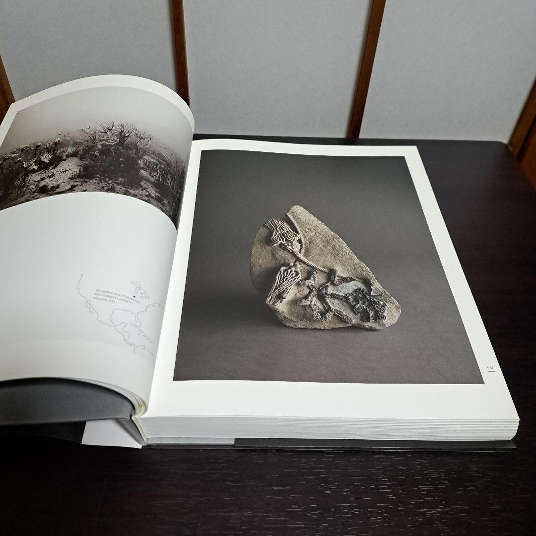 History of History Hiroshi Sugimoto 2008 Art Photography Book 11.8×9.3in