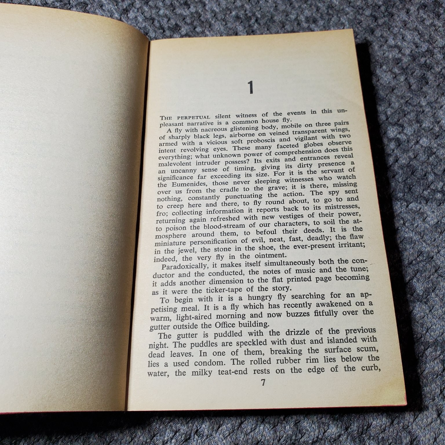The Fly Richard Chopping 1966 First Printing Signet Book Horror Novel