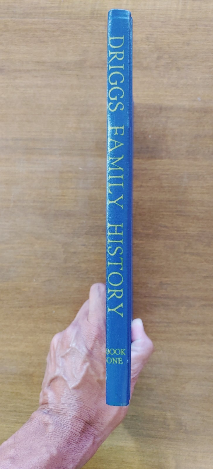 DRIGGS FAMILY HISTORY 2 Vol. LDS Mormon Genealogy History Arizona RARE BOOKS!