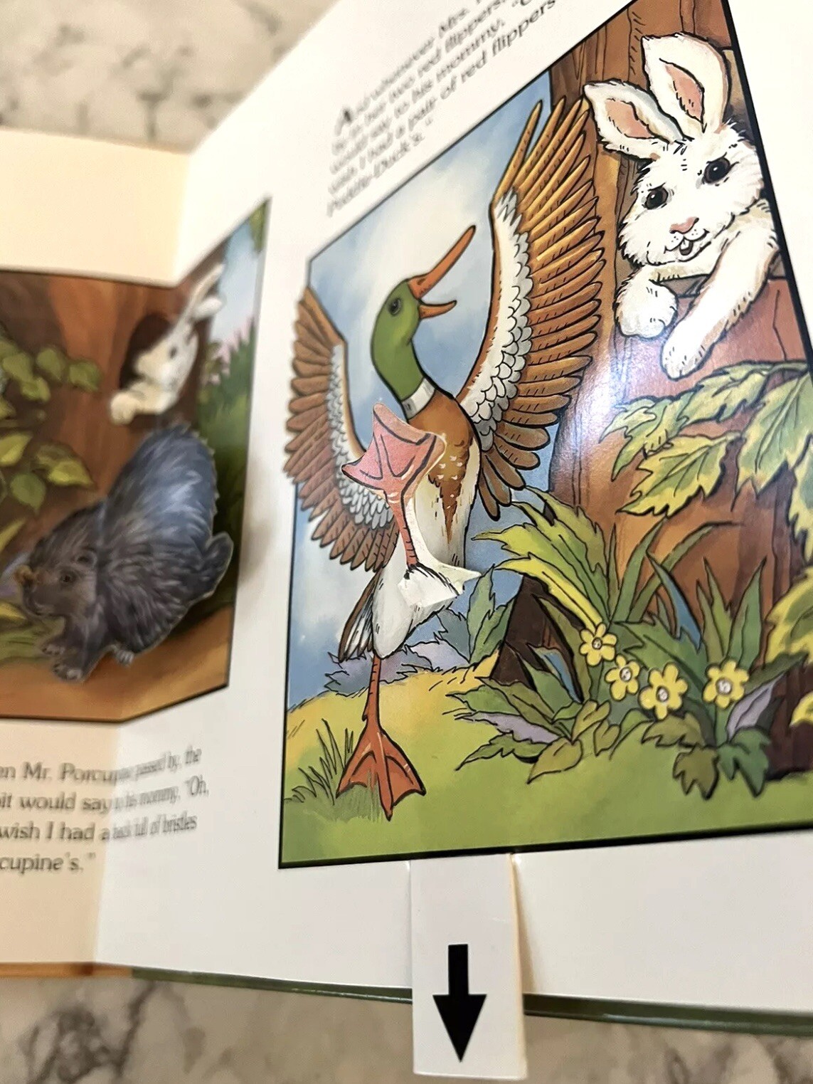 The Little Rabbit That Wanted Red Wings A Pop Up Book 1996 Children’s Classic