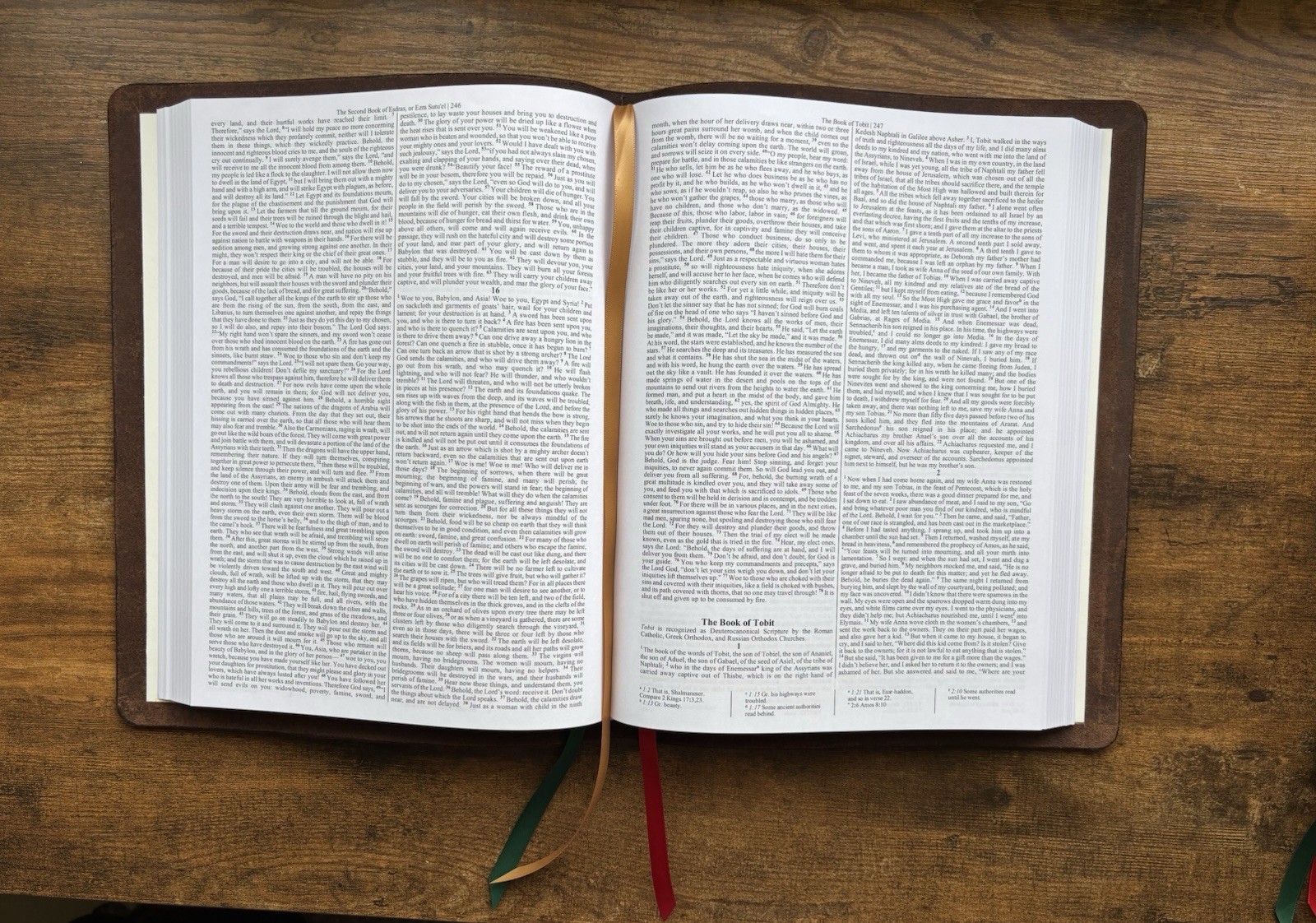 Ethiopian Bible In English Genuine Leather Rebind Choice of Color Handbound.