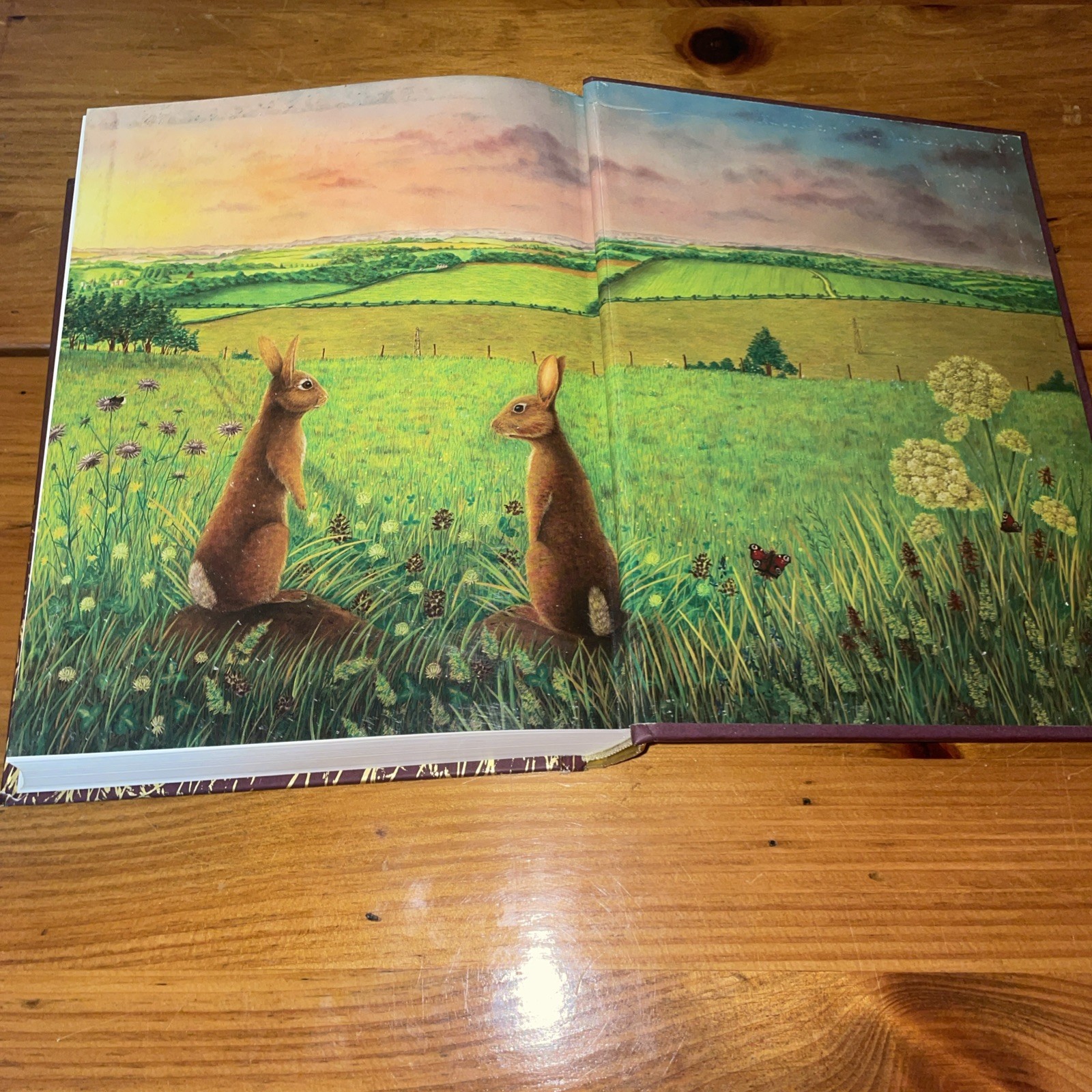 WATERSHIP DOWN Richard Adams & Aldo Galli 2012 Atheneum HB