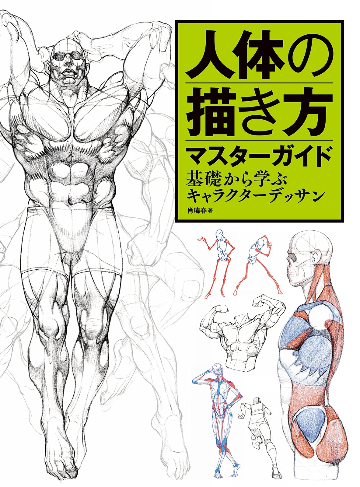 Human Anatomy Drawing Master Guide: Character Design Basics, Large Book