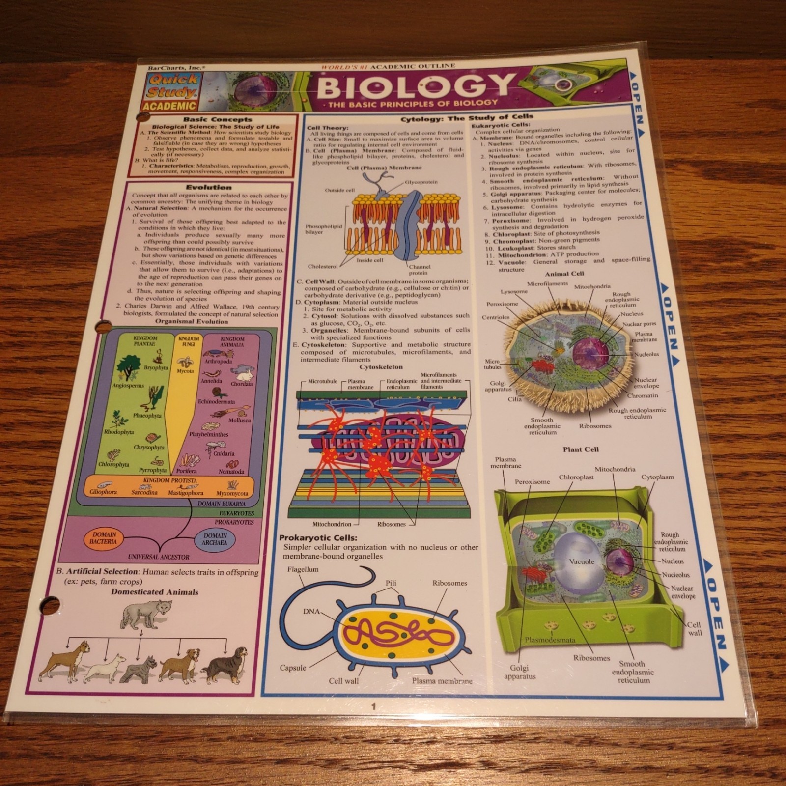 Quick Study Academics BIOLOGY Laminated Study Aid Chart