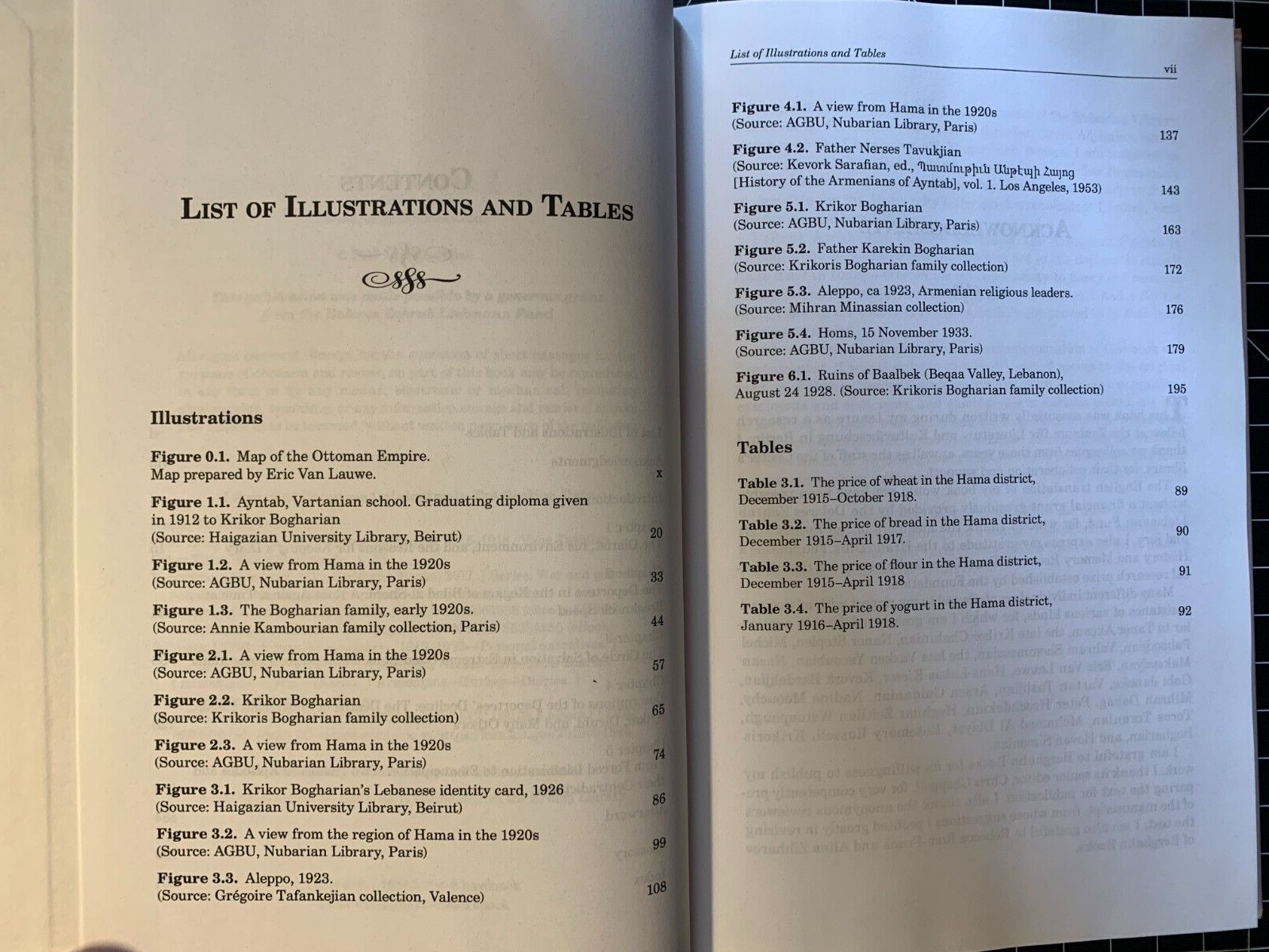 Daily Life in the Abyss: Genocide Diaries, 1915–1918 by Vahé Tachjian