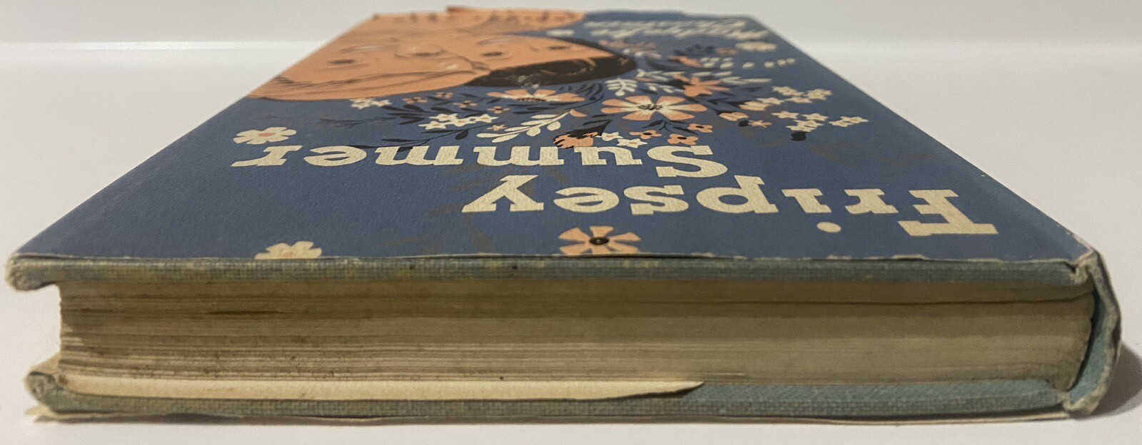Fripsey Summer by Madye Lee Chastain (1953 1st Hardcover)