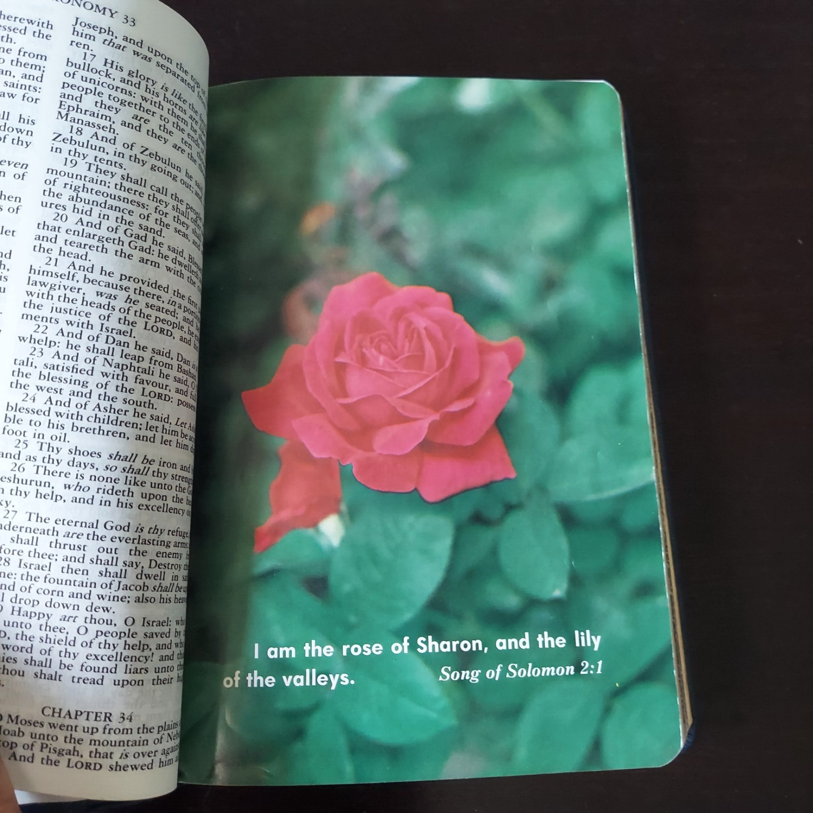Lot Of 2 Holy Bibles – Versions: New World Translation Watchtower & King James