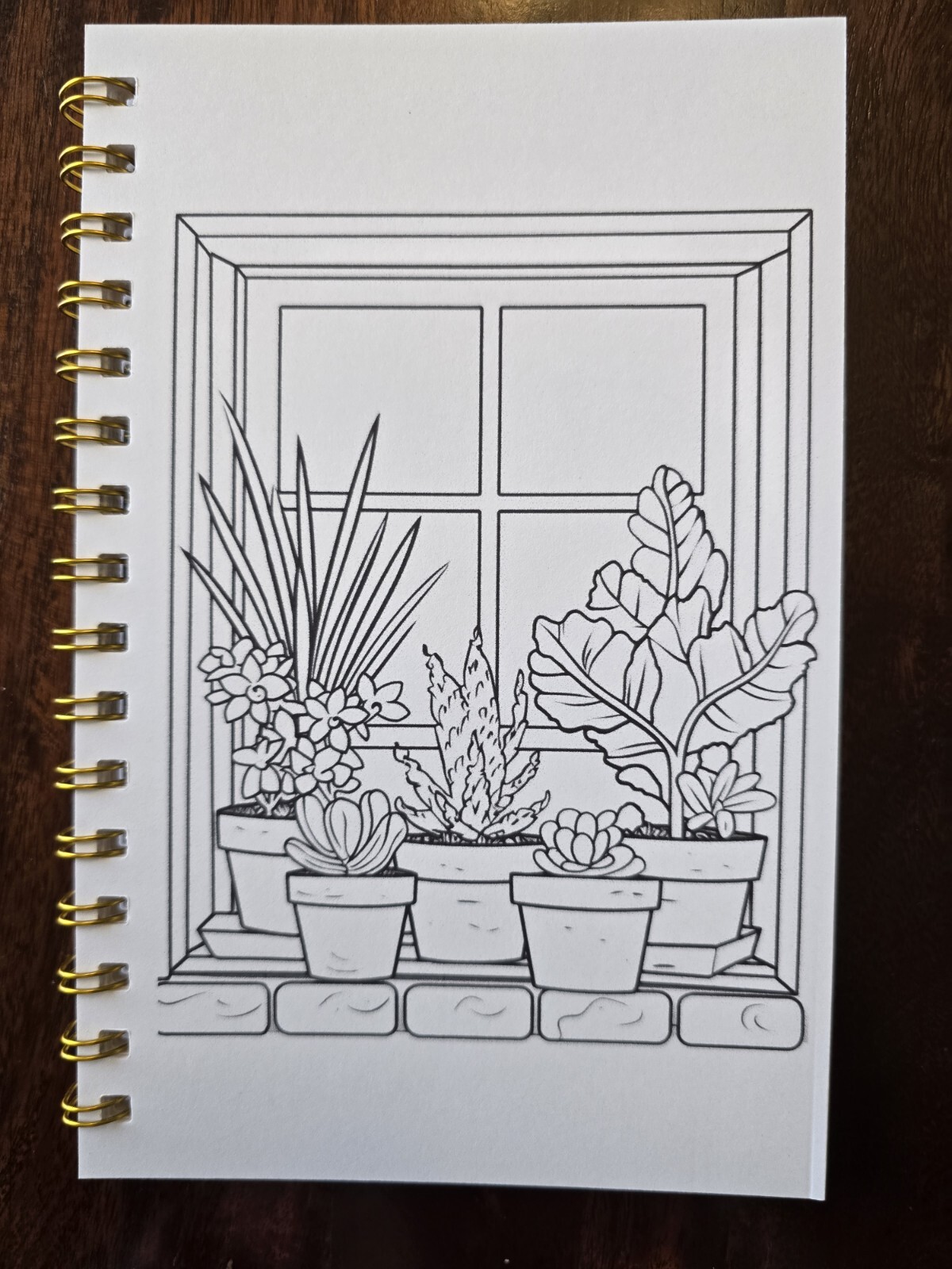 House Plants Coloring books for adults. A5 Size Coloring Book 8.5 in X 5.5 in.