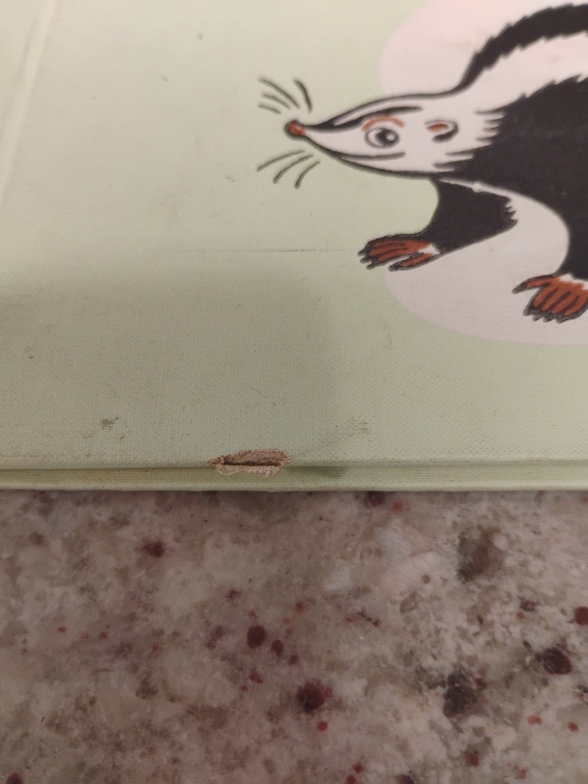 Skippy, The Skunk by Gene Darby