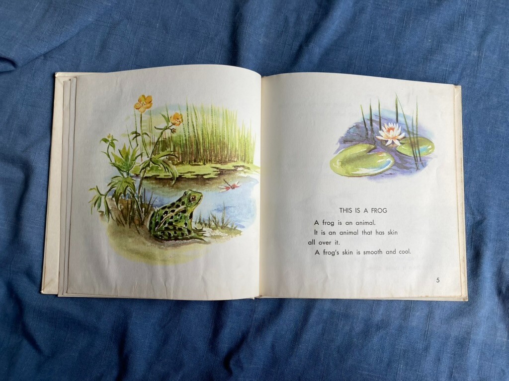 WHAT IS A FROG Gene Darby John Hawkinson 1957 WHAT IS IT SERIES 3rd Grade Level