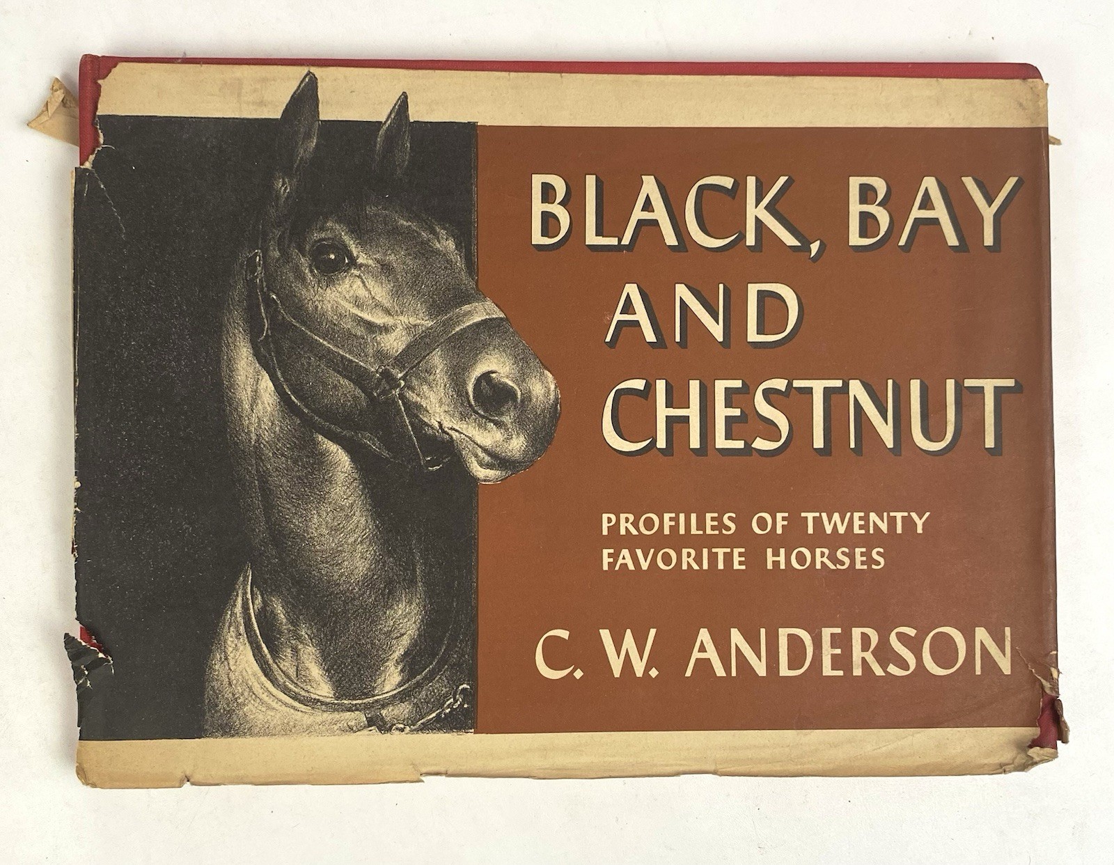 Black, Bay and Chestnut: Profiles of Twenty-Favorite Horses by C.W Anderson 1939