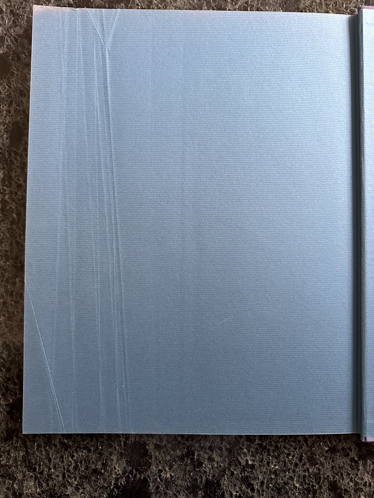 Robert Mapplethorpe Certain People by Susan Sontag 1985 Hardcover