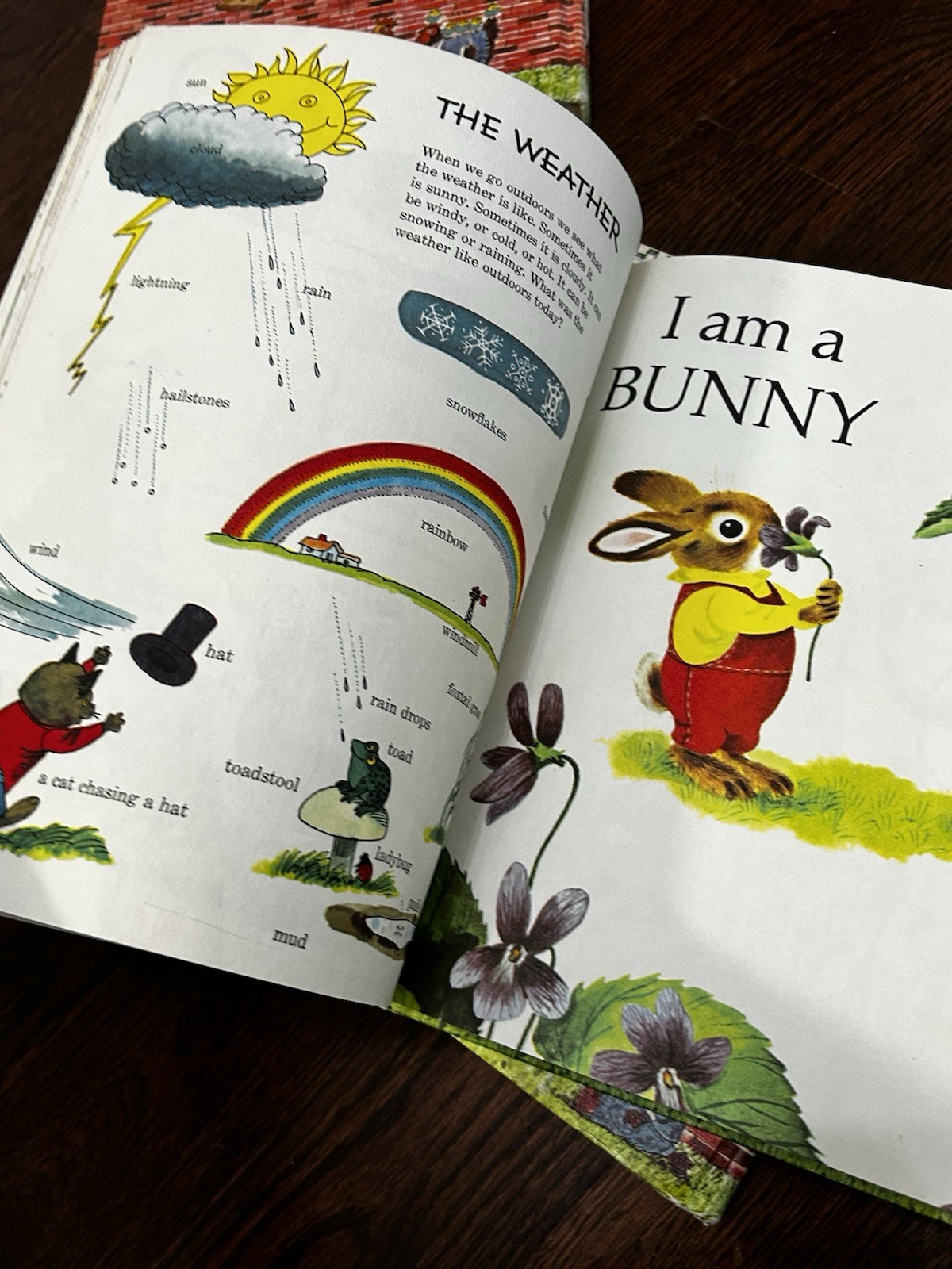 Richard Scarry Look & Learn Library Box Set Hardcover Illustrated Education ABCs