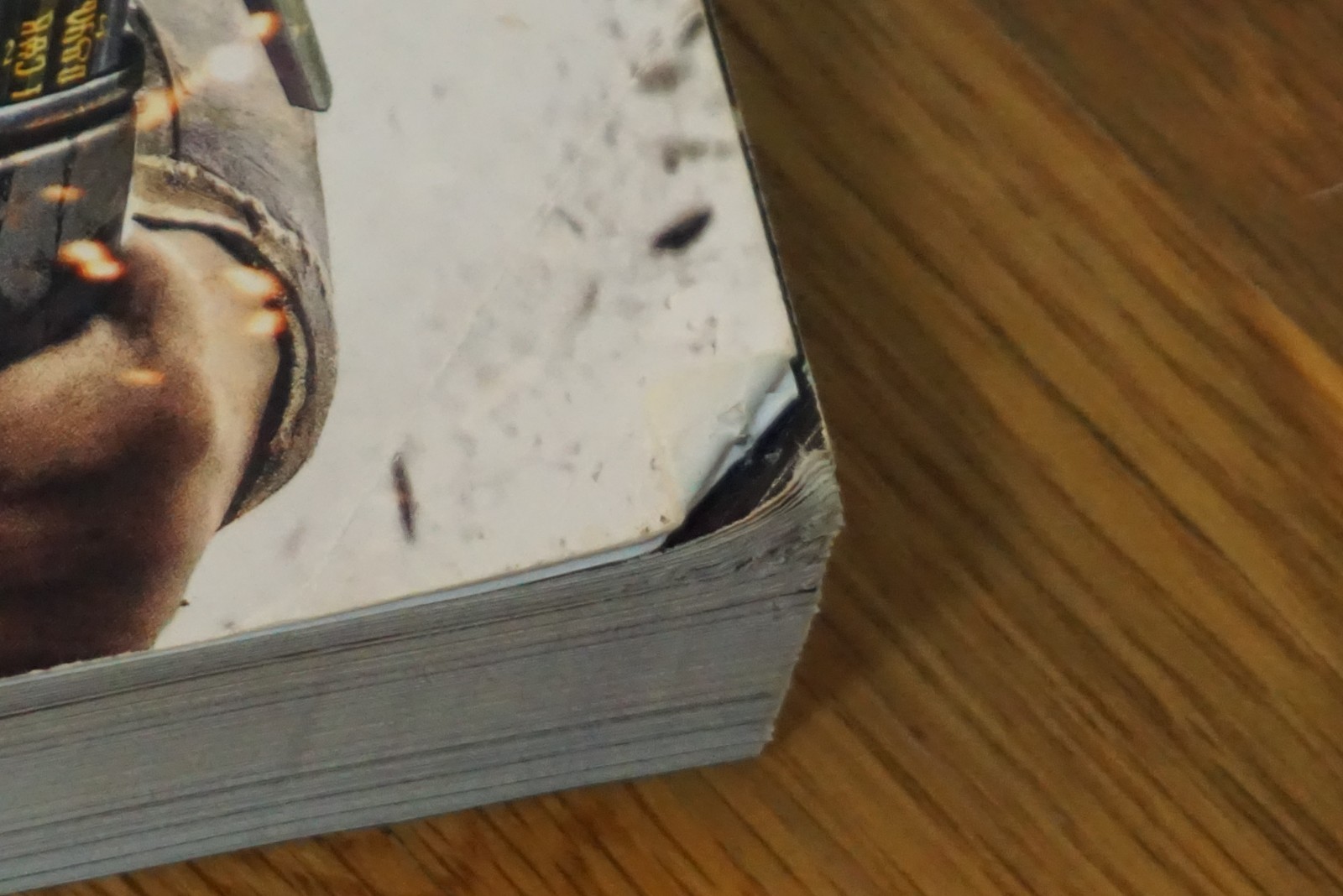 The Witcher 3: Wild Hunt Prima Official Game Guide Paperback