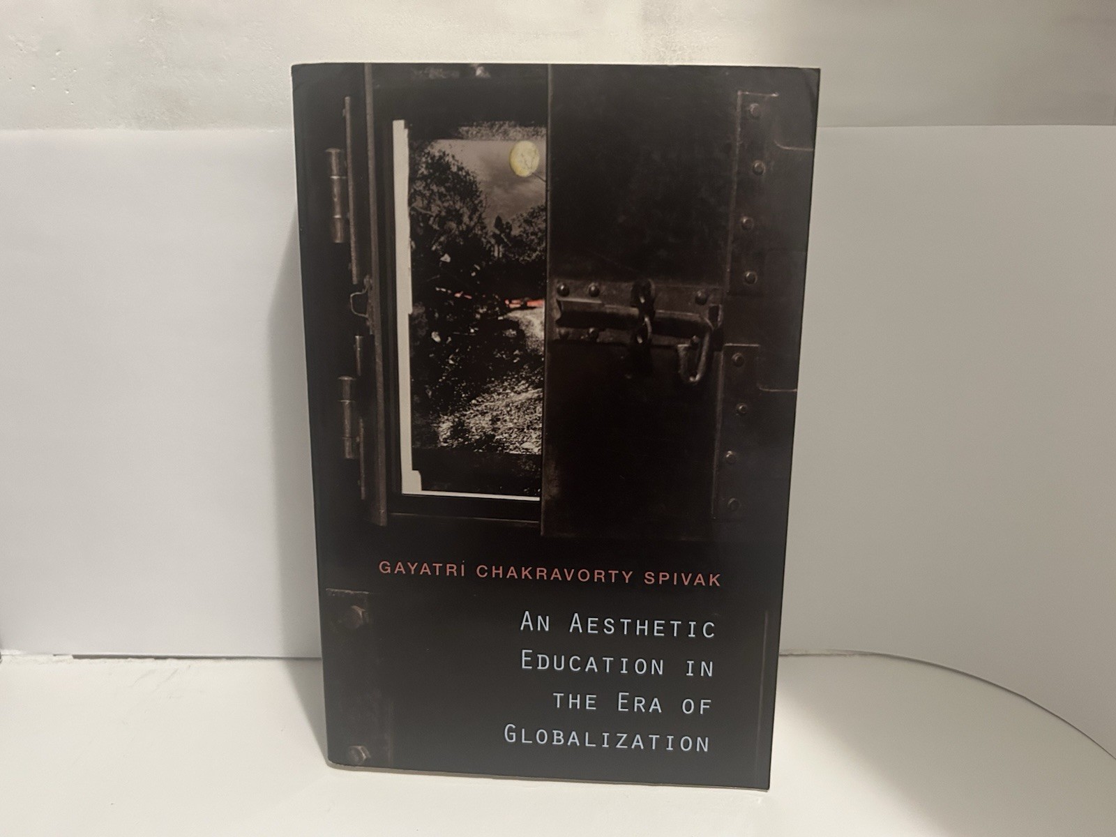 Aesthetic Education in the Era of Globalization by Gayatri Chakravorty Spivak…