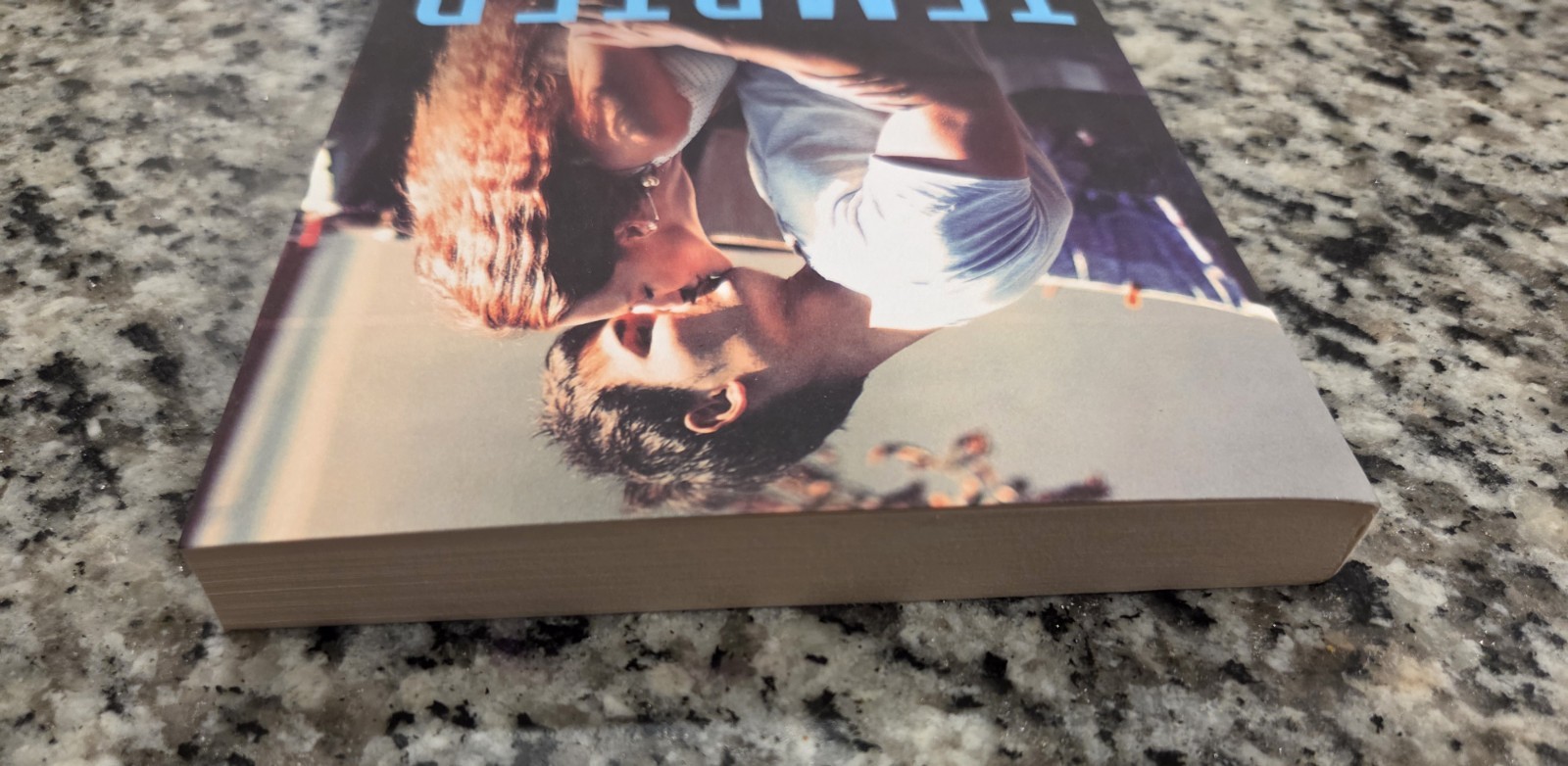 Tempted: A Bad Boy Next Door Soft Cover Lauren Landish & Willow Winters Book