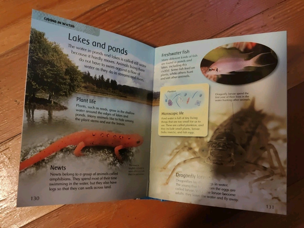 Mini Children’s Reference Ser.: My First Animal Encyclopedia (2008, Hardcover)