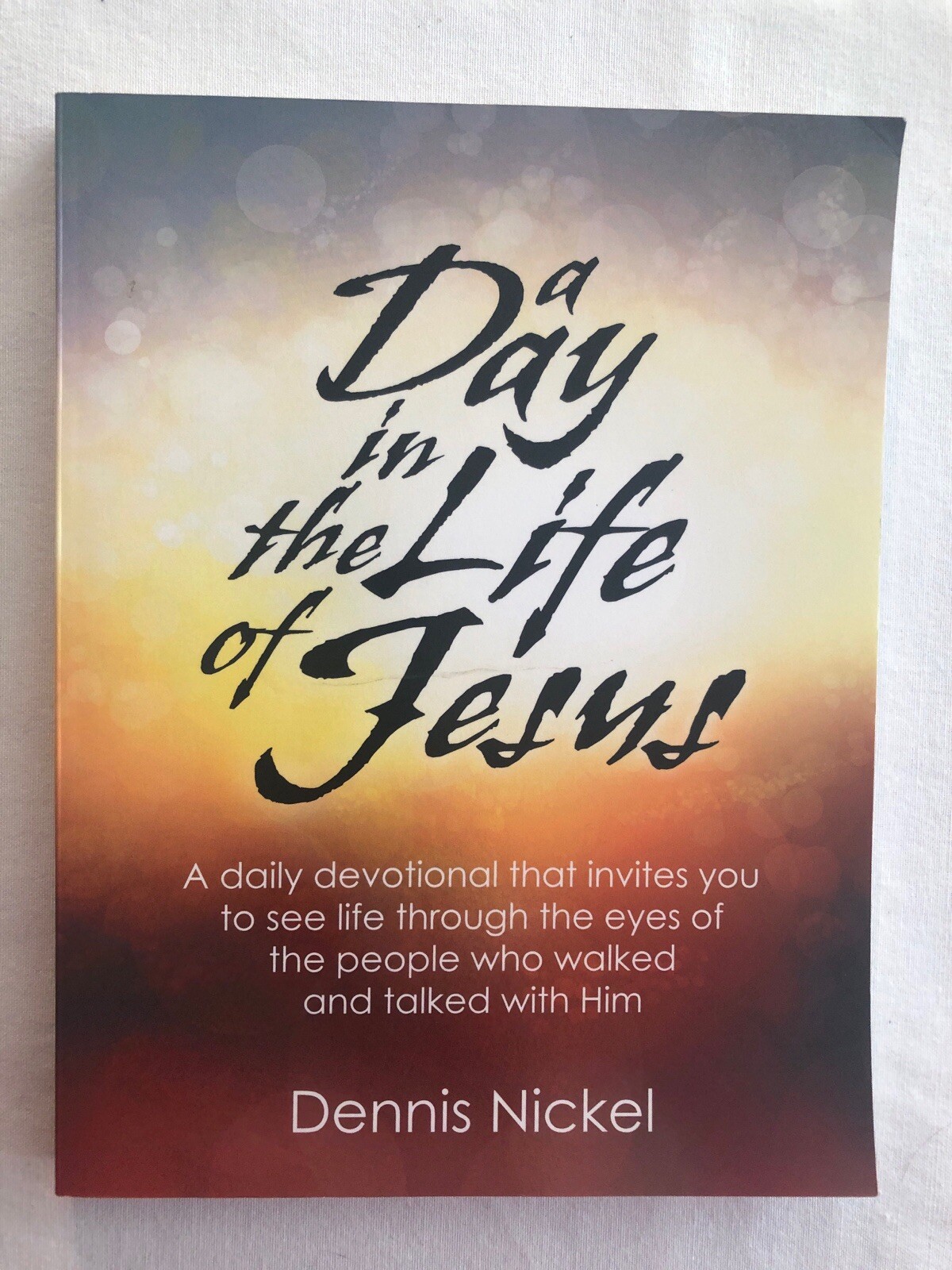 A Day in the Life of Jesus by Dennis Nickel (2014, Paperback)