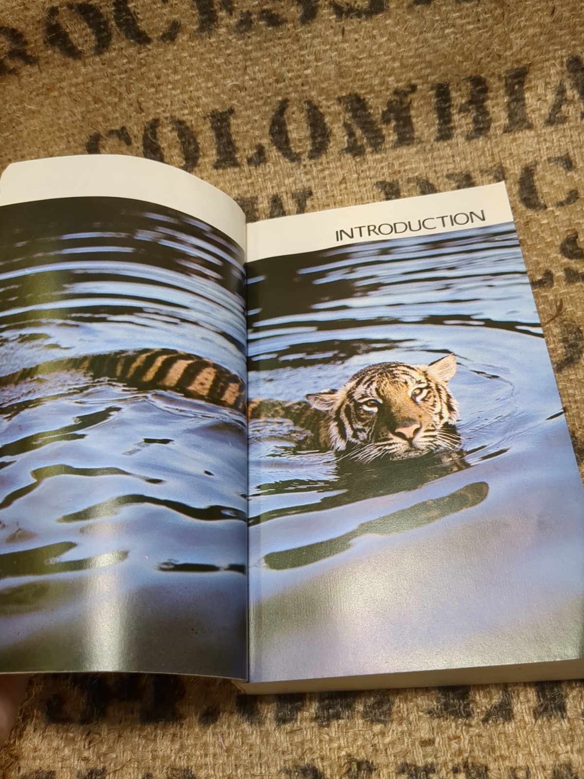 Simon and Schuster’s Guide to Mammals by Luigi Boitani (1984, Trade Paperback)