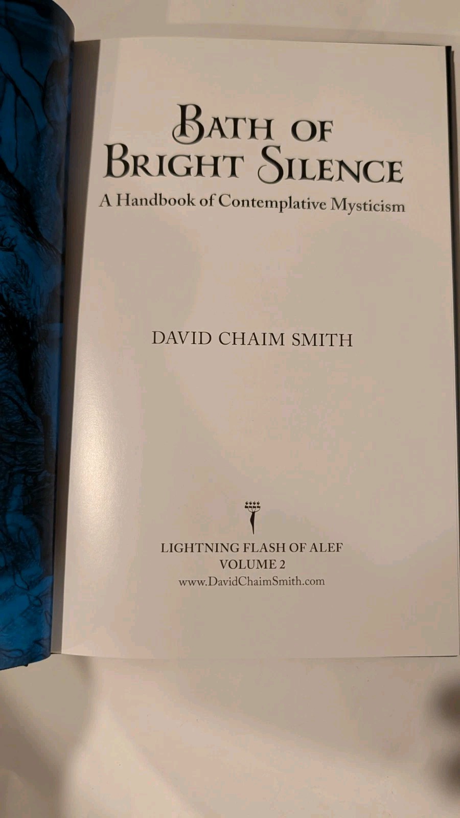 Bath of Bright Silence by David Chaim Smith Lightning Flash of Alef V.2 LIKE NEW