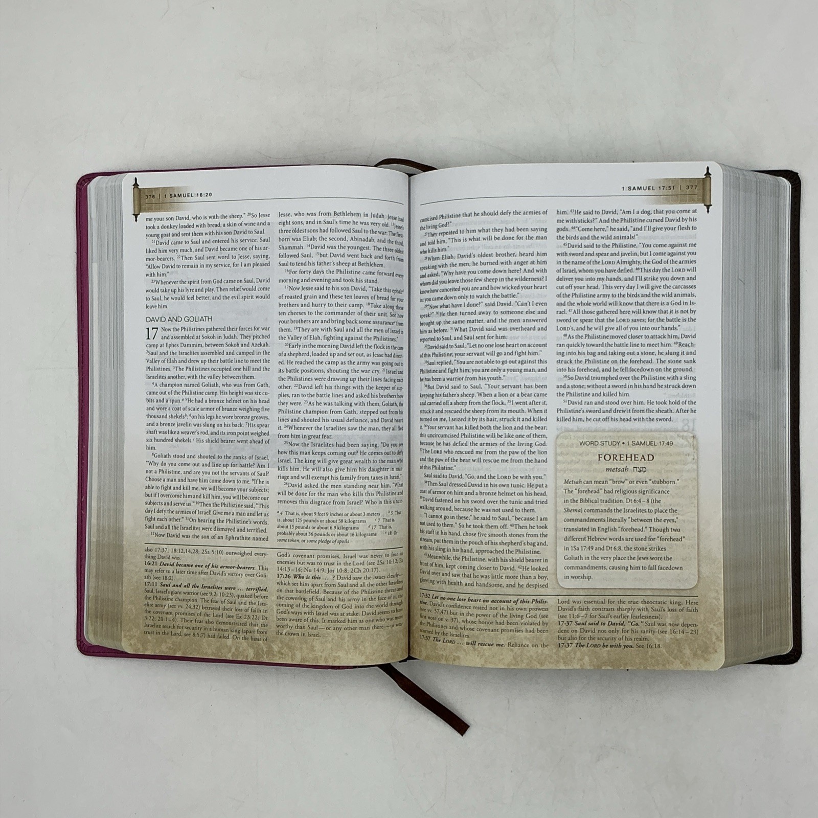 Zondervan NIV First Century Study Bible Dobson Italian Duo Tone Chocolate Orchid