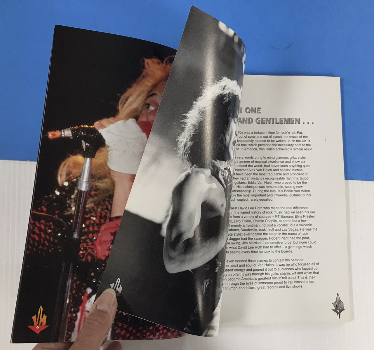 VAN HALEN Excess All Areas (1994) UK FAN BOOK by Malcolm Dome / 144 pages #808
