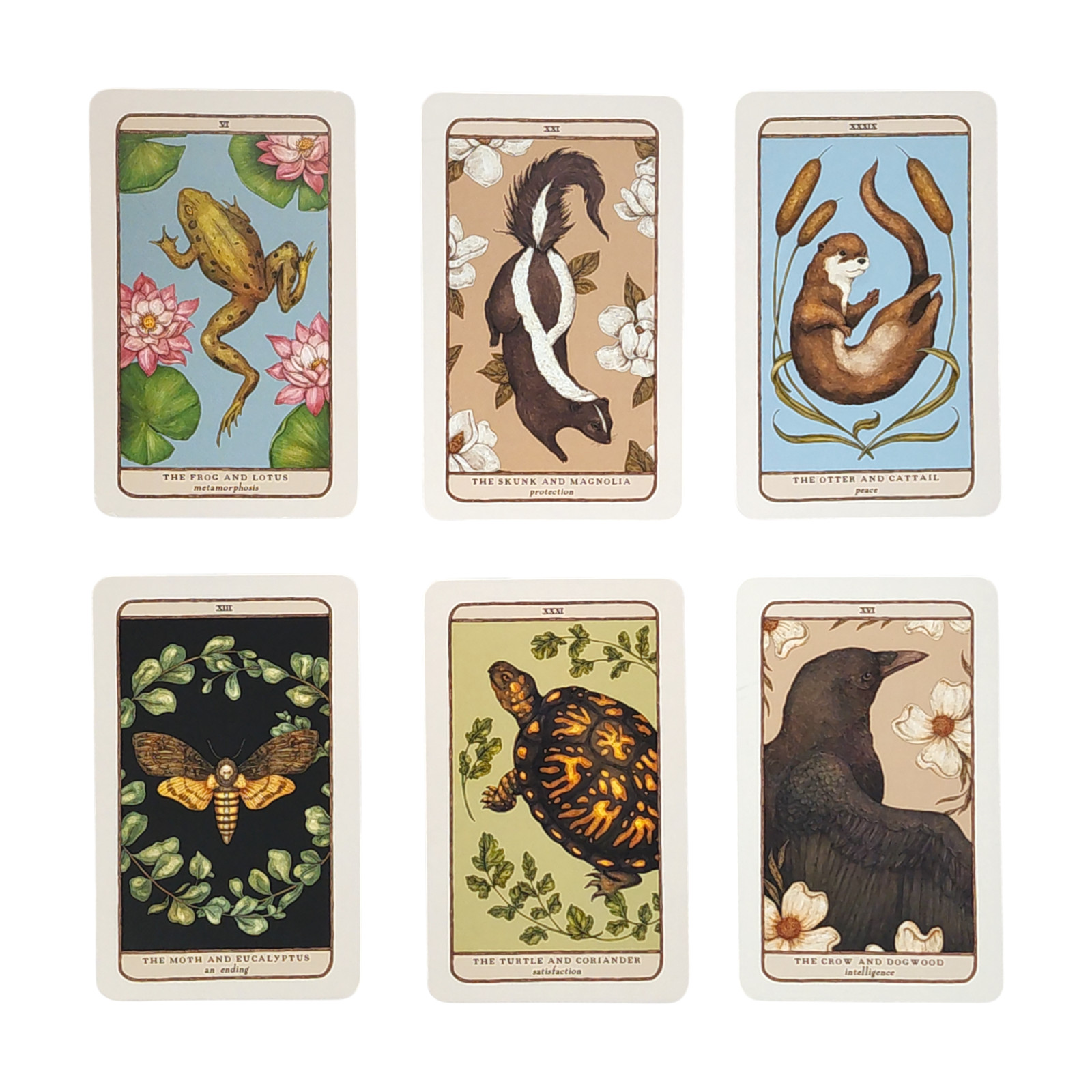 Woodland Wardens: 52-Card Oracle Deck & Guidebook by Jessica Roux Pre-Owned