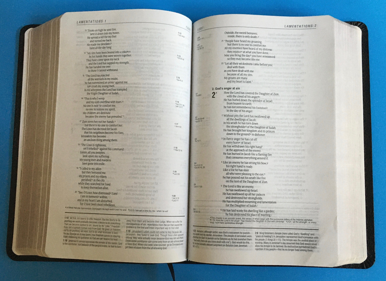 Life Application Study Bible International Version Tyndale 2005, Gilded Pages