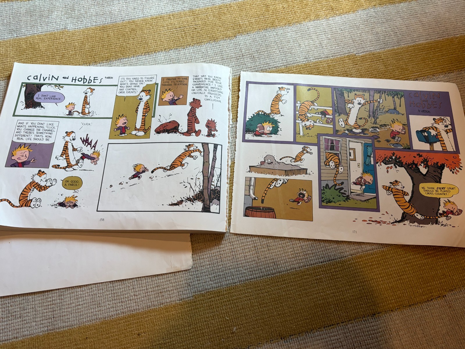 Calvin and Hobbes The Days Are Just Packed (INCOMPLETE BOOK, READ DESCRIPTION)