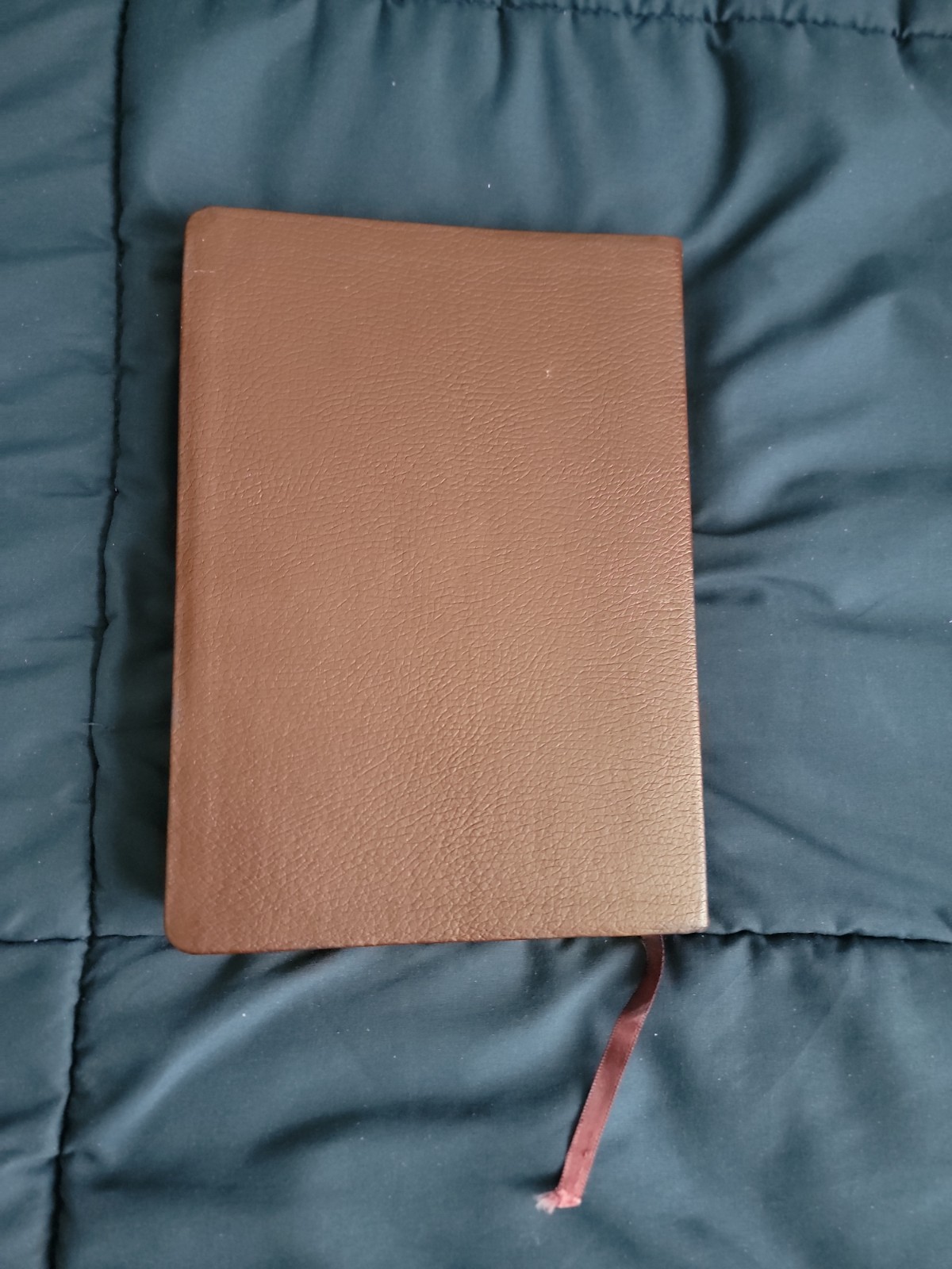Power For Life Genuine Leather TNIV Study Bible