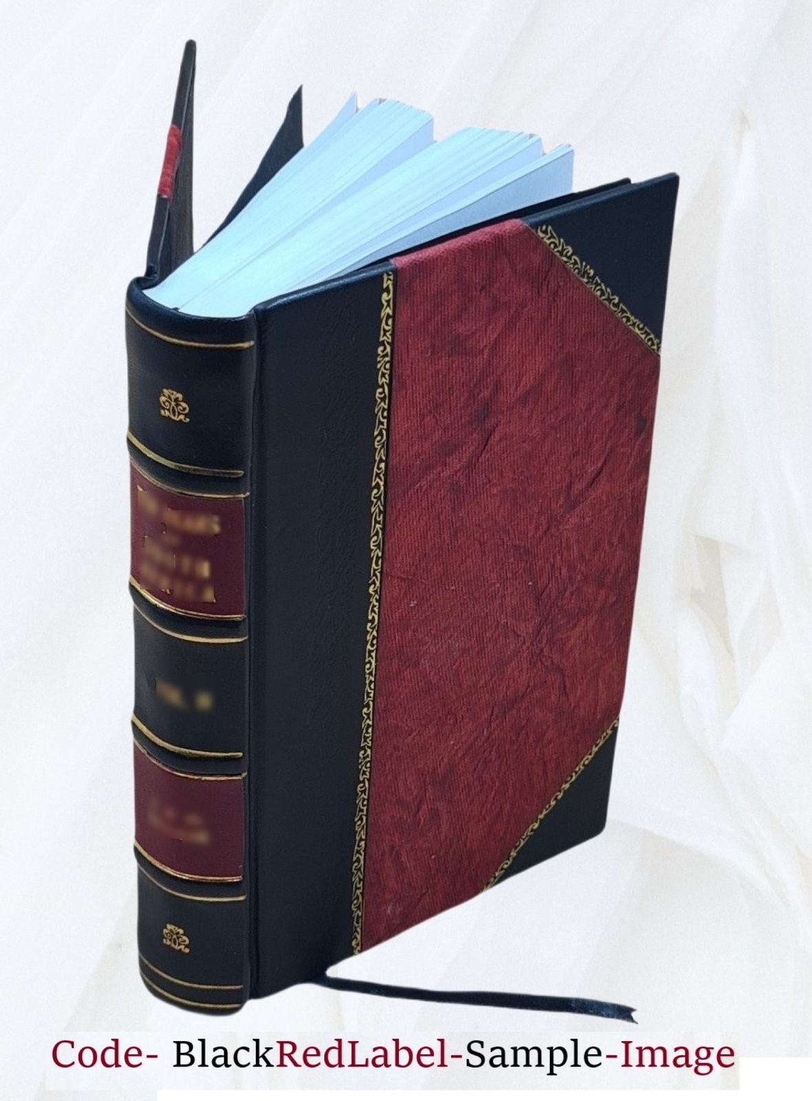 The South Since The War As Shown By Fourteen Weeks Of Travel And [Leather Bound]