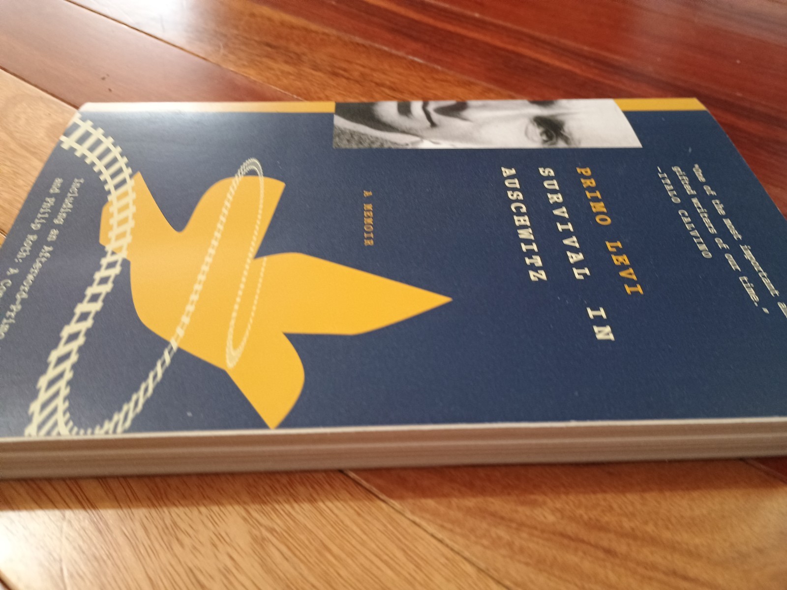 Survival in Auschwitz by Primo Levi (1995, Trade Paperback)