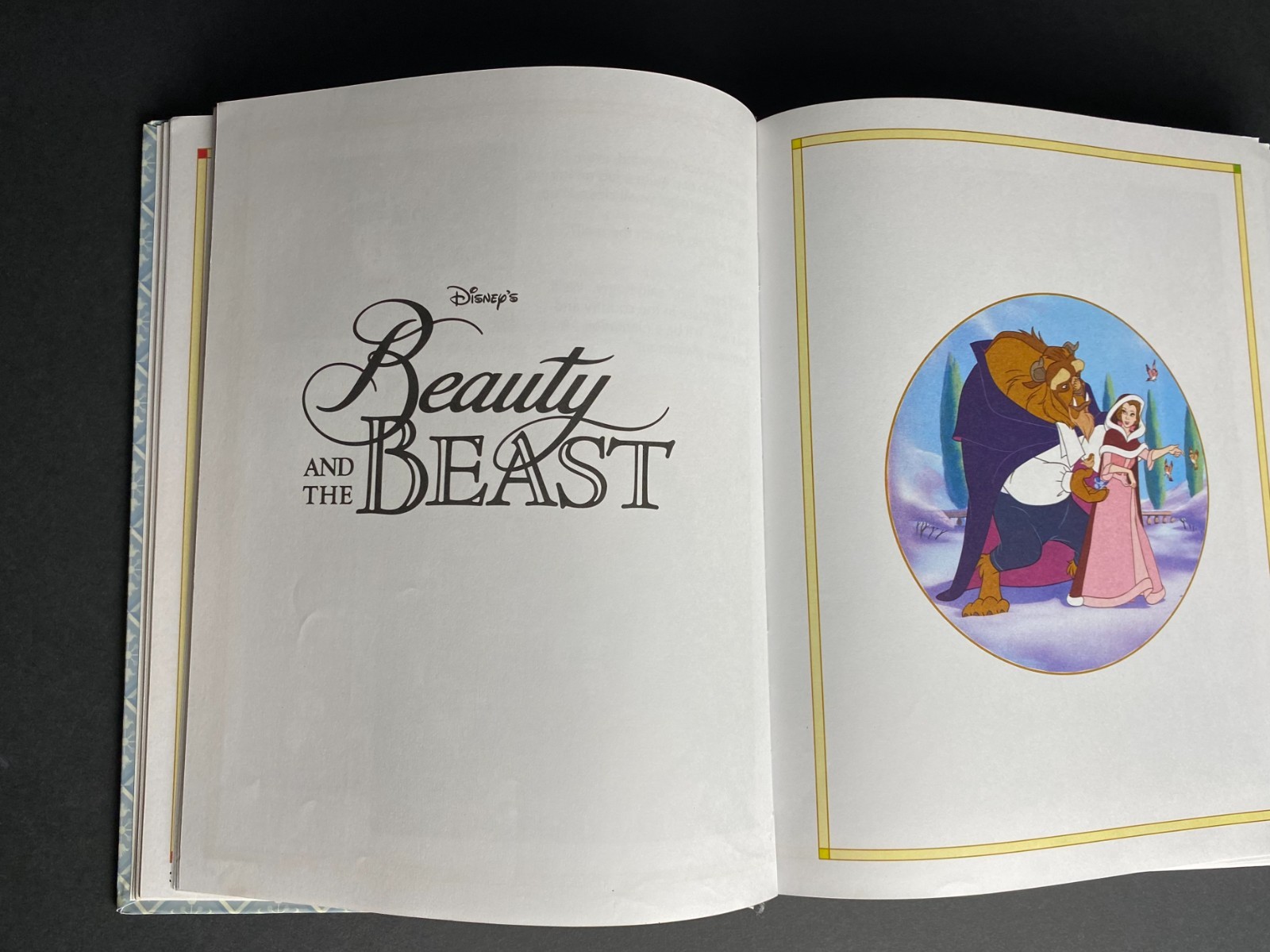 Disney Enchanted Tales Book 2005 301 Pages