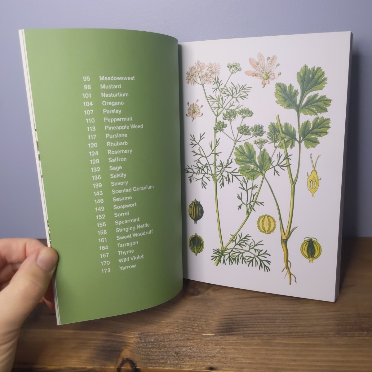 Herbal Handbook by New York Botanical Garden (Illustrated)