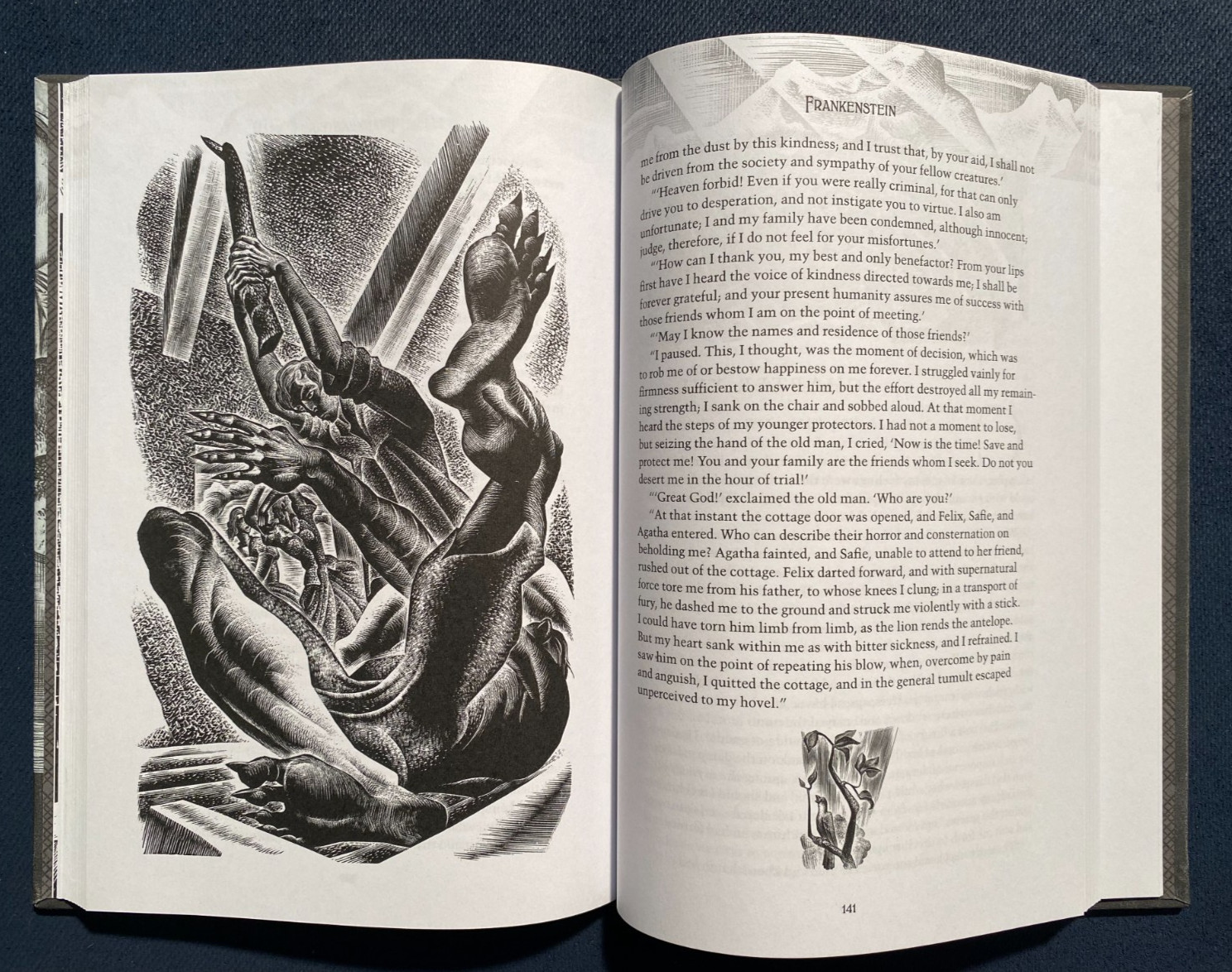FRANKENSTEIN GRAPHIC NOVEL MARY SHELLY WITH LYND WARD ILLUSTRATIONS 2010 9.2 js