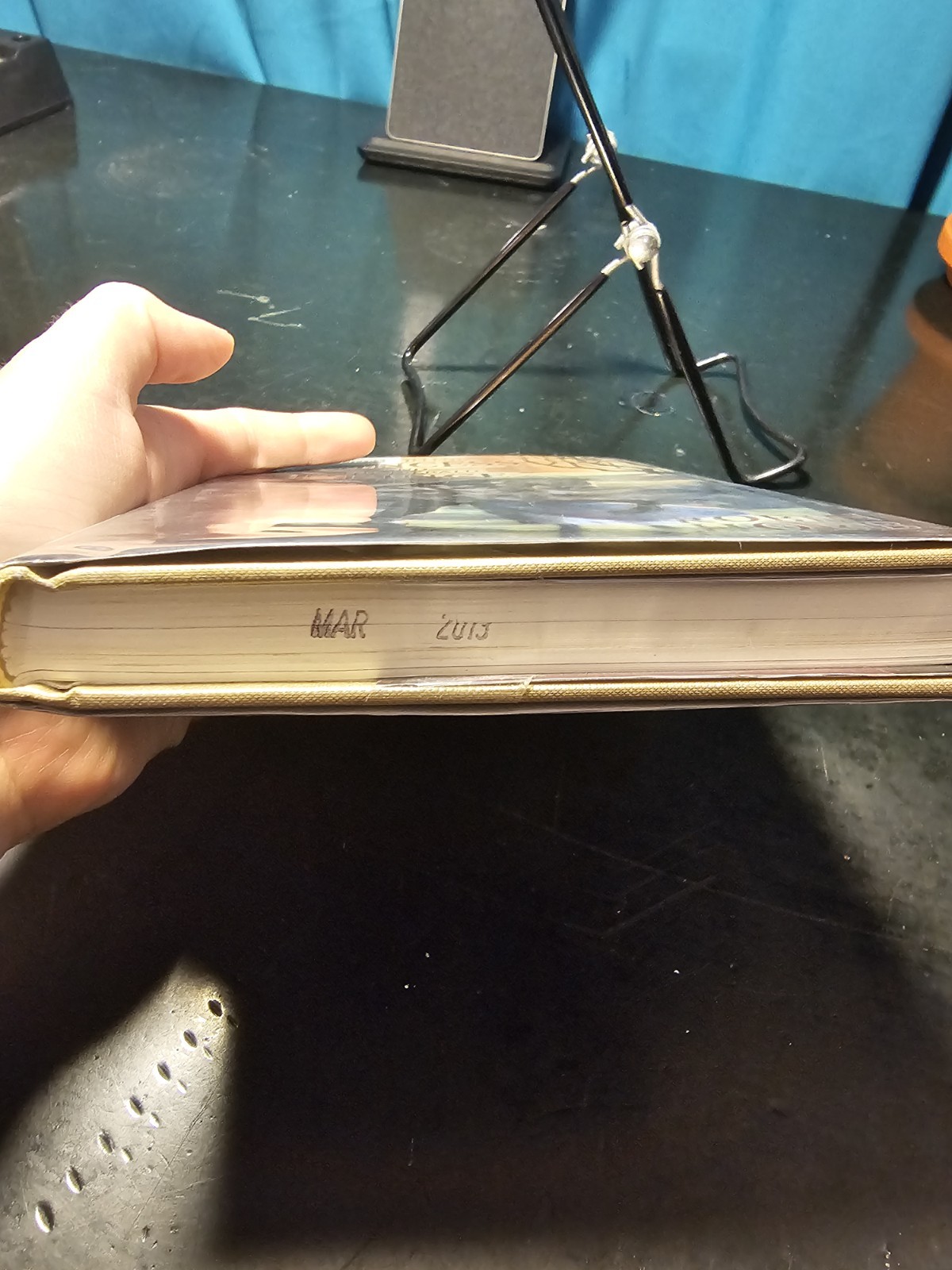 The Willfull Princess and the Piebald Prince by Robin Hobb, Hardcover, Sub Press