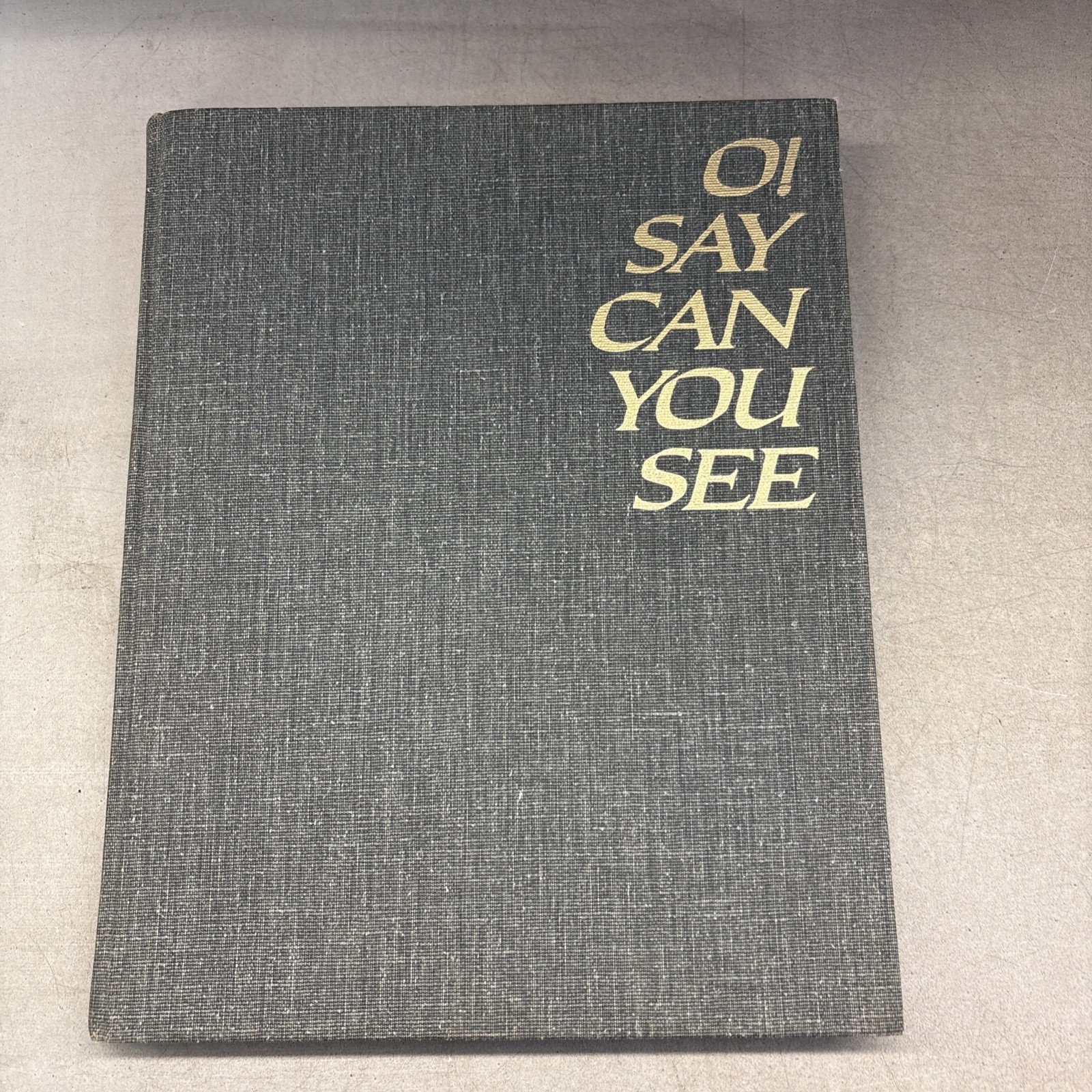 O! Say Can You See : The Story of America Through Great Paintings