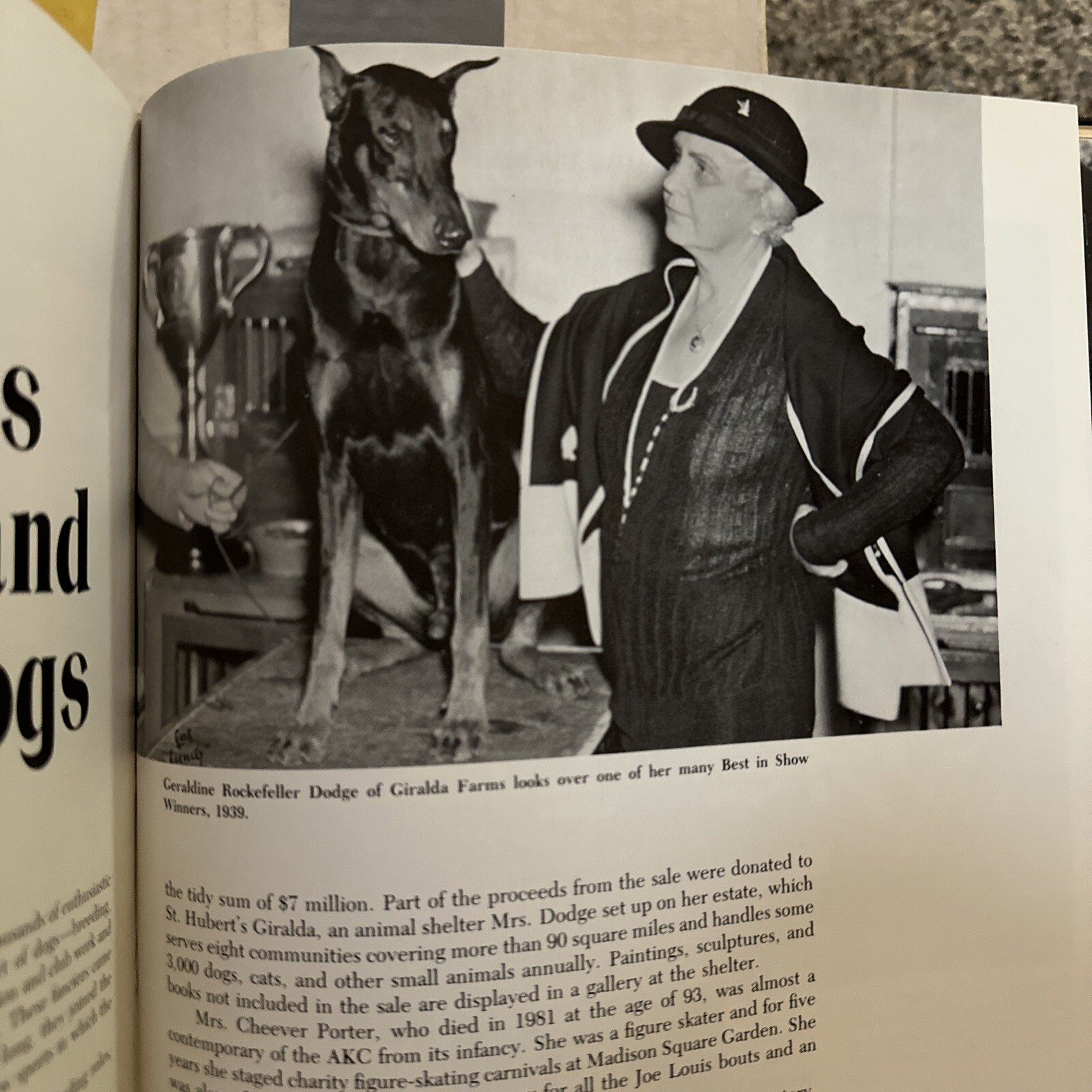 The Akc’s World Of The Purebred Dog Hardcover 1983. 344 Pages