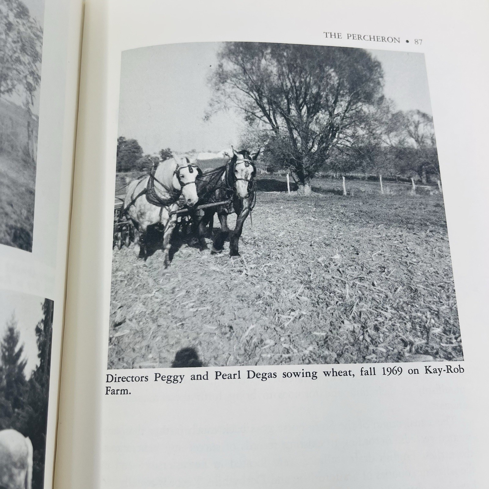 Gentle Giants Story of Draft Horses Stanley M. Jepsen 1973 HC 2nd Print Photos