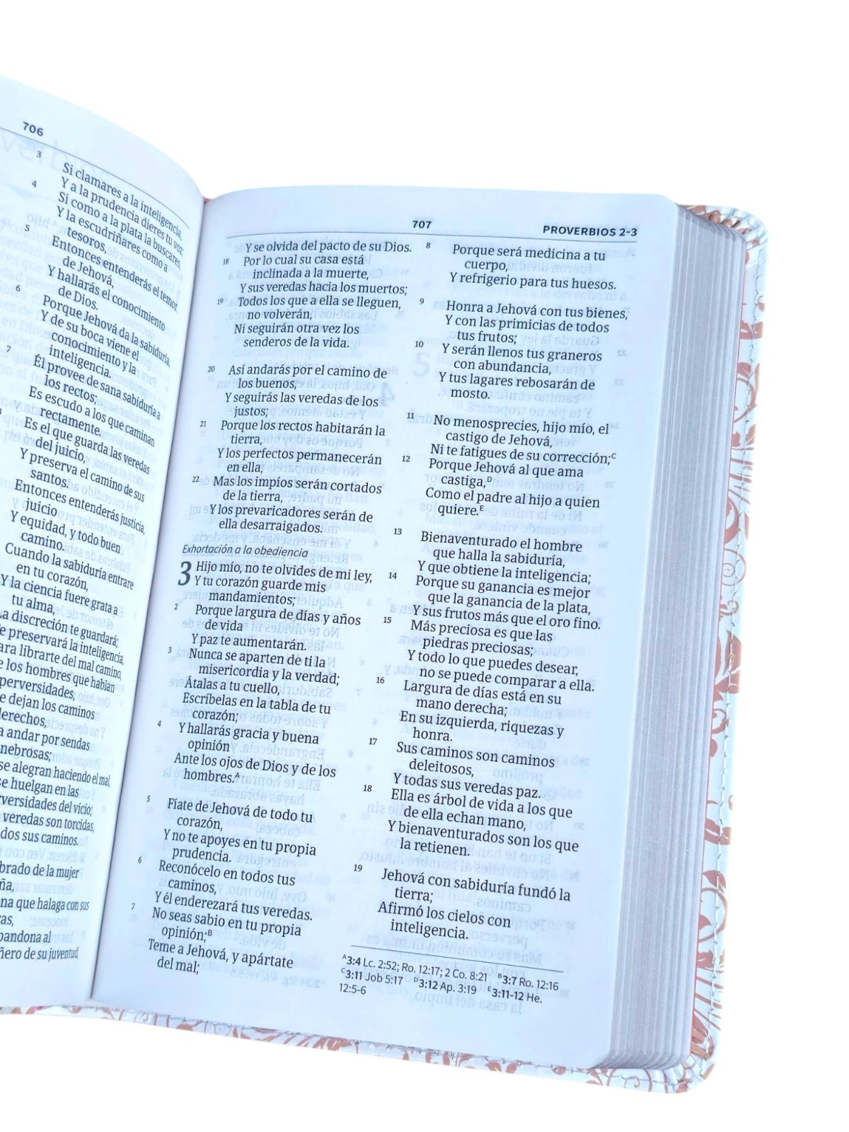 Biblia Reina-Valera 1960 Mis Quince, Rosa y Blanco Símil Piel