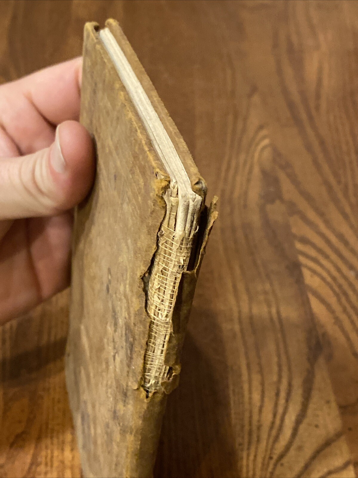 Antique RIP-VAN WINKLE BY WASHINGTON IRVIN HARD COVER BORSE & HOPKINS 47 Pages
