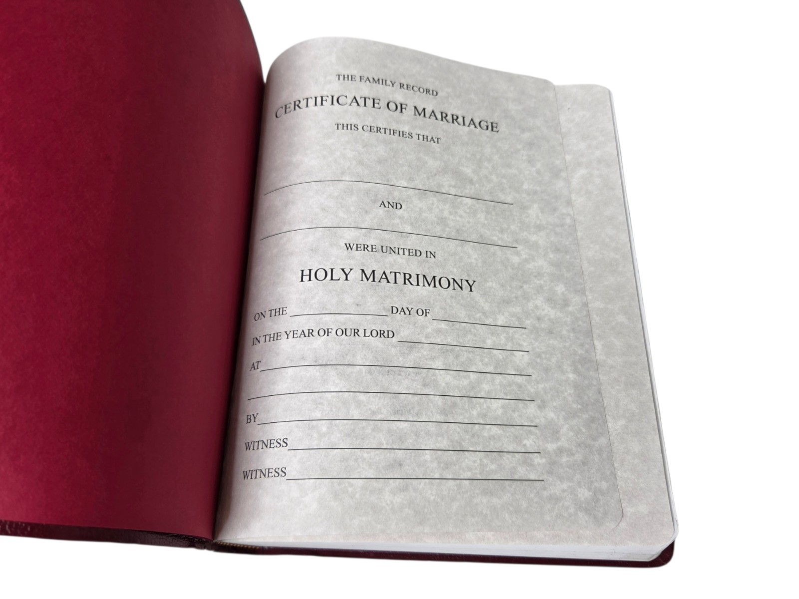 God’s Holy Bible KJV Special Margin Edition LARGE PRINT 1999 Burgundy Red Letter