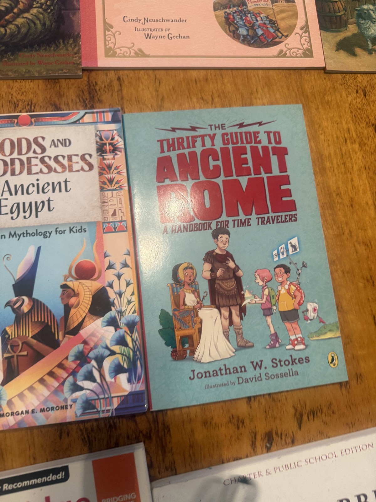lot of 16 homeschooling books kp16